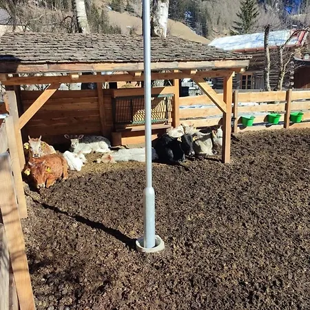 Dom wakacyjny Schlosswirt Ii Dollach