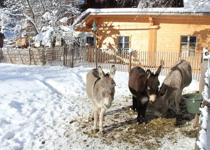 Schlosswirt Ii Dollach